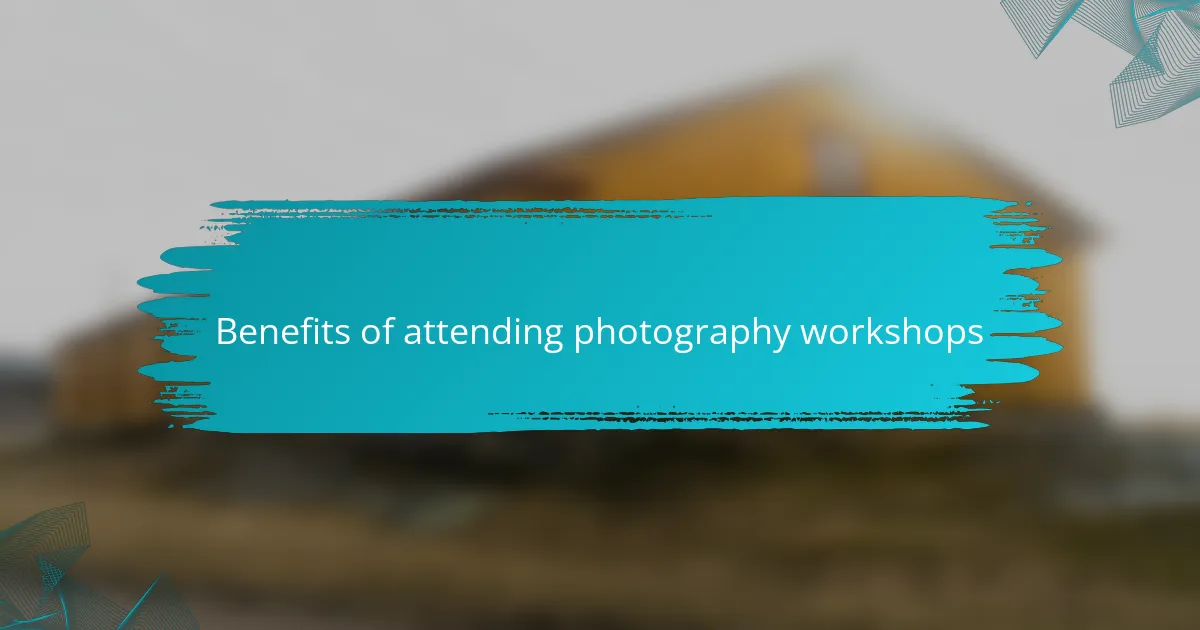Benefits of attending photography workshops