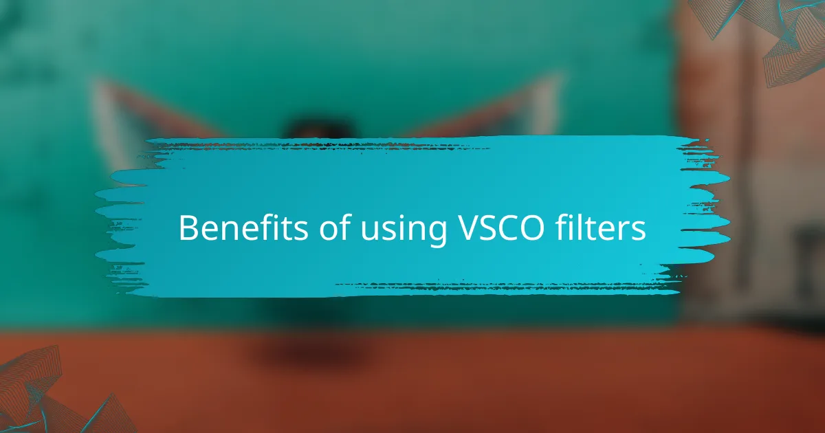 Benefits of using VSCO filters