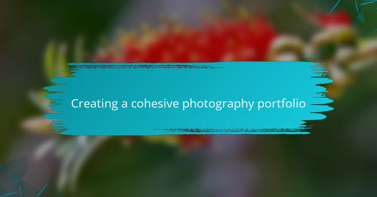 Creating a cohesive photography portfolio