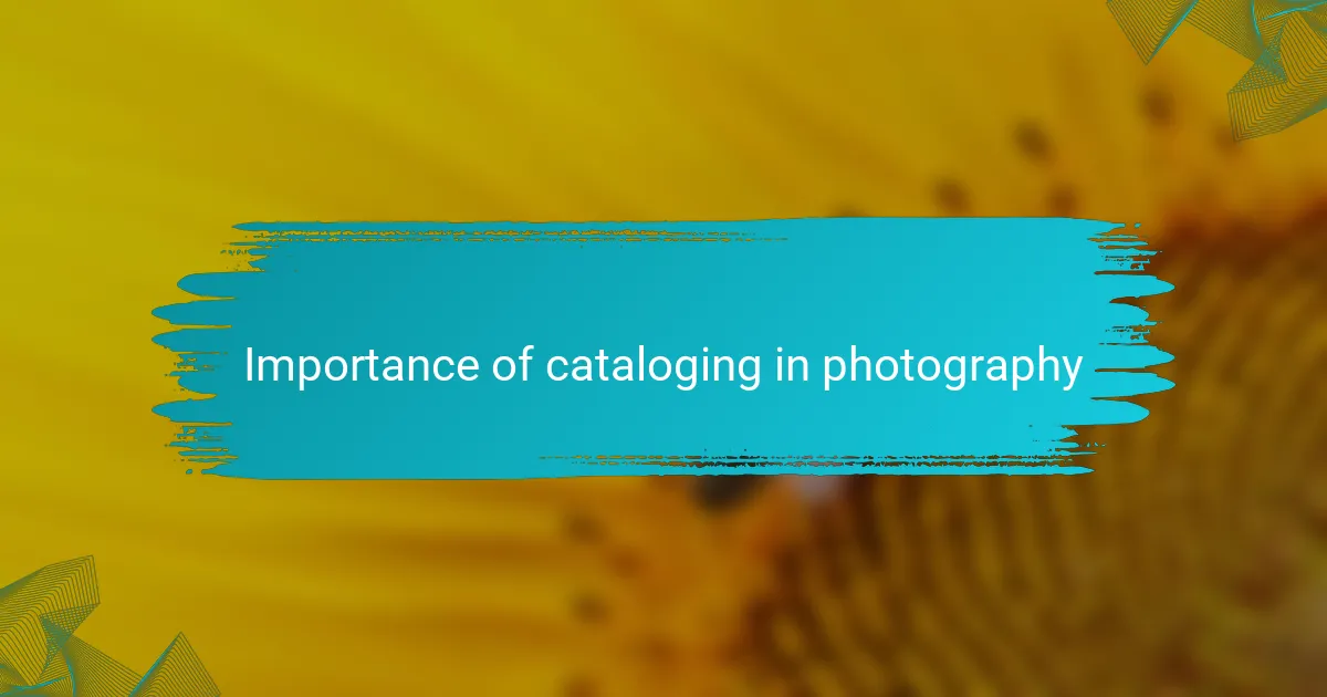 Importance of cataloging in photography