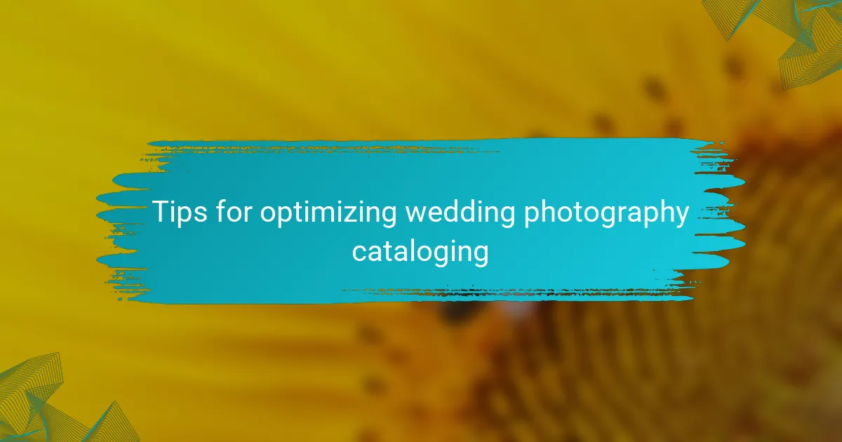 Tips for optimizing wedding photography cataloging