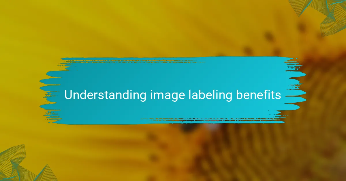 Understanding image labeling benefits